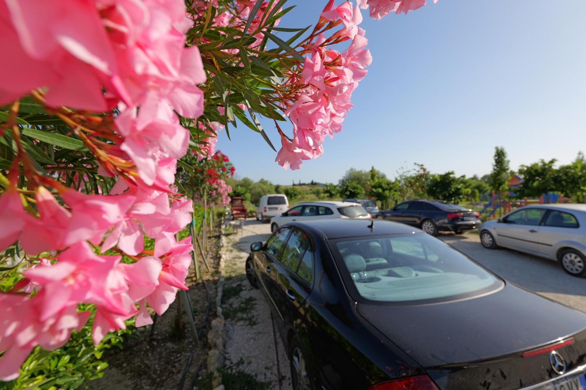 Mesopotam Agrotourism Resort Sarandë Esterno foto